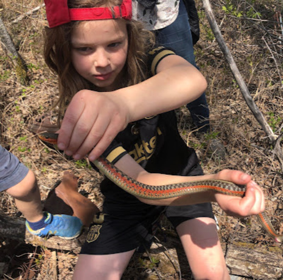 Meet your Posher, Olivia - Picture 1 of 1